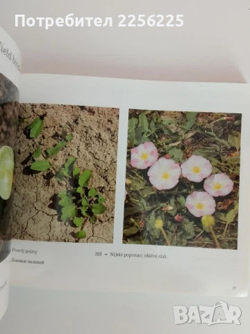 Основни плевели в полевите култури, снимка 3 - Специализирана литература - 51090747