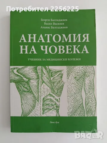 Анатомия на човека