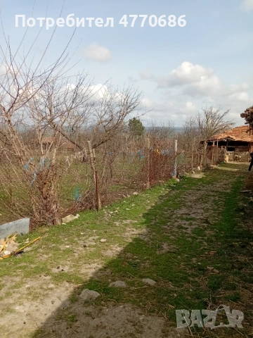 Продава се къща от собственик. с голям двор има и кладенец, снимка 2 - Къщи - 53897873