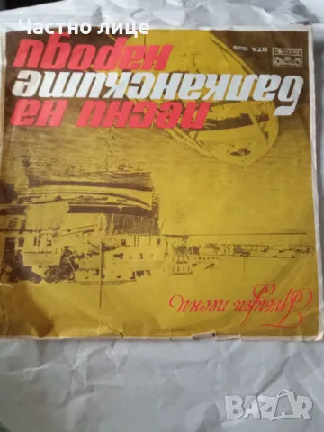 Грамофонна плоча-1лв.