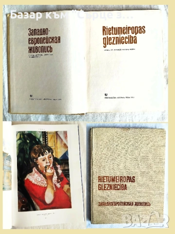  Книги на чешки, руски, полски, немски, виетнамски, снимка 9 - Художествена литература - 46678671