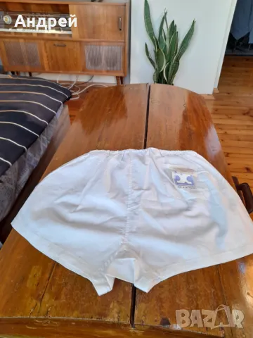 Стари мъжки гащи #5, снимка 2 - Други ценни предмети - 48756733