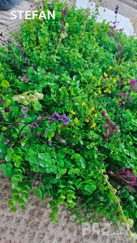 Промо изкуствена трева пано 60/40, снимка 6 - Декорация за дома - 51418412