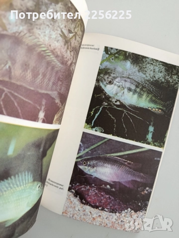 Акваристика за всеки, снимка 8 - Специализирана литература - 52467363