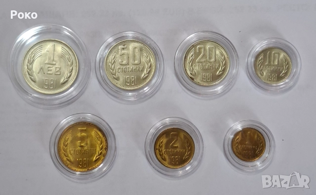 Лот от Нециркулирали  Рядки Монети 1981г