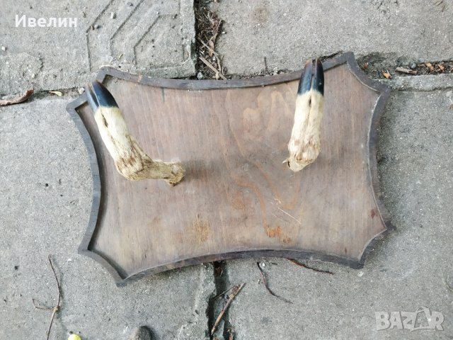 стара закачалка за стена