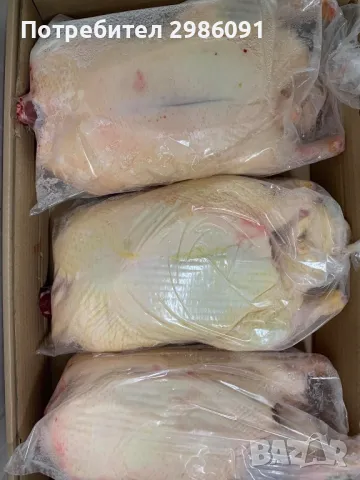 домашни патици,еко патица , снимка 3 - Домашни продукти - 48624842