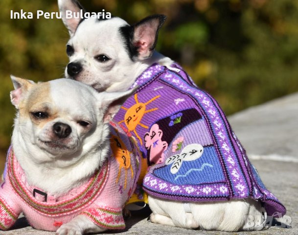 Ръчно бродирани перуански кучешки дрешки различни цветове и размери , снимка 3 - За кучета - 42821198