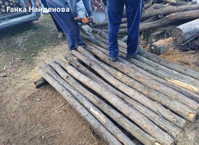 Дървени колове за ограда -здрави от акация с различни дължини, снимка 2 - Други стоки за дома - 54345278