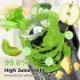 Чисто Нова Бавнопресоваща Сокоизстисквачка Cold Press Juicer YASHE (127 mm Голям Отвор)  , снимка 2