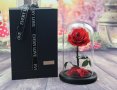 Вечно цвете  Розата "Красавицата и Звяра". , снимка 1 - Подаръци за жени - 44488226