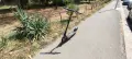 Segway Ninebot E2 Pro – електрическа тротинетка + зарядно, снимка 1