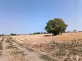 Земя град Съединение , снимка 8