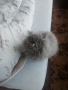 Персийски котенца, снимка 6