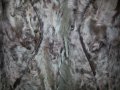 Палто-сребърна лисица,естествен косъм, снимка 8
