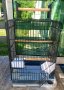Клетка за едър папагал с отваряем покрив , снимка 1 - За птици - 28647016