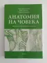 Анатомия на човека, снимка 1