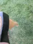 брадва,топор,секира, снимка 8