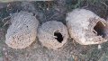6 броя (шест) стари пчелни кошера, плетени, пчелен кошер, кошери, кош, мивка, кантар, снимка 4