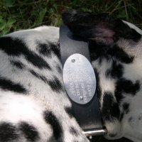 Изработка на медальони за кучета, снимка 6 - За кучета - 30106374