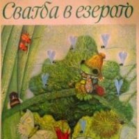 Сватба в езерото Б. Ржиха, снимка 1 - Детски книжки - 35238093