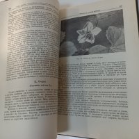Медоносные растения Глухов М.М. /1955 г./, снимка 3 - Енциклопедии, справочници - 39456569