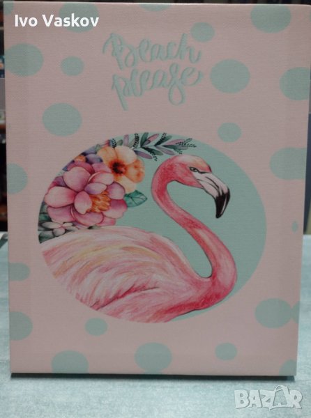 пано с фламинго, снимка 1