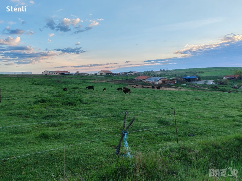 Продавам селскостопански обор - кравеферма, снимка 1
