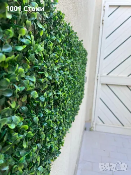 Декоративно Пано за Стена , снимка 1