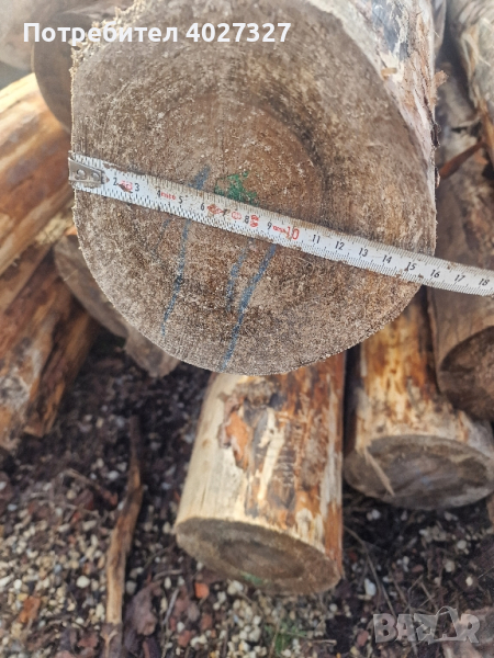 Ритловици , снимка 1