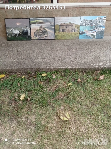 картини платно, снимка 1