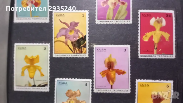 Марки Куба, снимка 3 - Филателия - 50367821