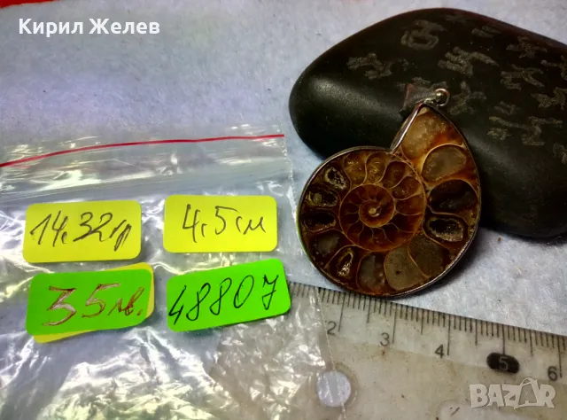 НАТУРАЛЕН ОПАЛИЗИРАН АМОНИТ в ПОСРЕБРЕН ОБКОВ Стар МЕДАЛЬОН РЪЧНА ЮВЕЛИРНА АРТ РАБОТА ПОЛИРАН 48807, снимка 6 - Антикварни и старинни предмети - 48818544