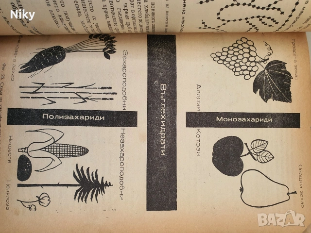 Учебник по Химия за 10 клас , снимка 5 - Учебници, учебни тетрадки - 53131464