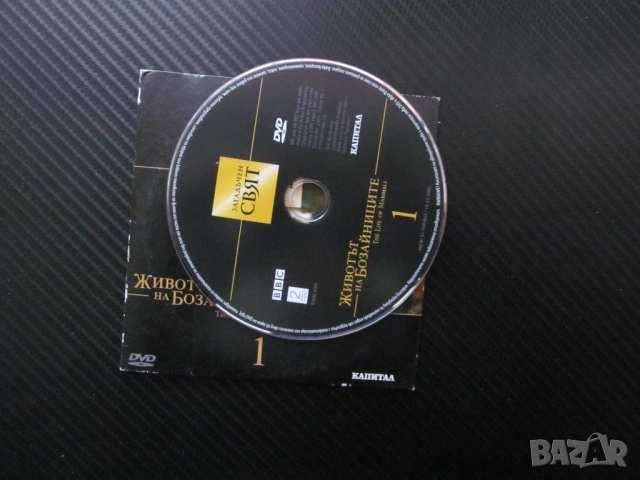Животът на бозайниците 1 DVD филм сполучлив дизайн ловци на насекоми Загадъчен свят торбести BBC нау, снимка 2 - DVD филми - 54080463
