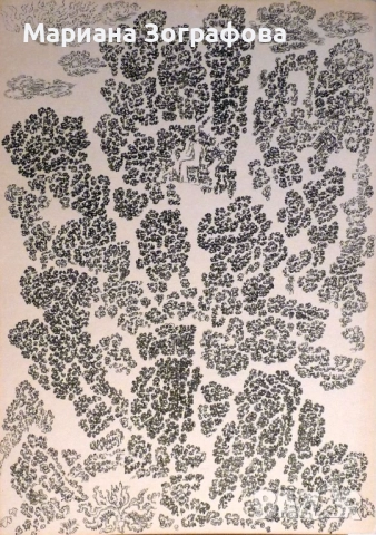  Графики 17 бр. - големи, - Картина „ Аспаруховият дъб ” 1994 г., снимка 13 - Картини - 22615936