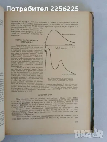 Физиология на човека, снимка 3 - Специализирана литература - 47319396
