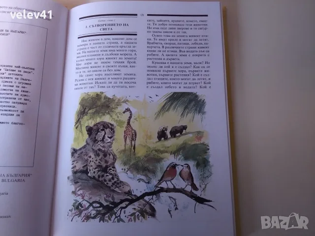 много красива и илюстрована цветно детска библия за деца , снимка 7 - Детски книжки - 56215147