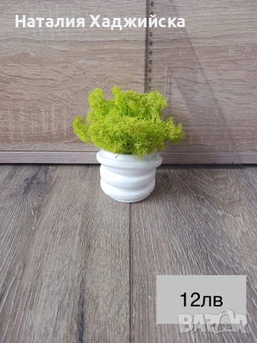 Декоративни кашпи с естествен скандинавски мъх, снимка 5 - Декорация за дома - 51278809