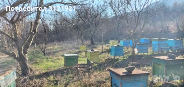 Земеделска земя за продажба в района на с.Беласица , снимка 10 - Земеделска земя - 39577960