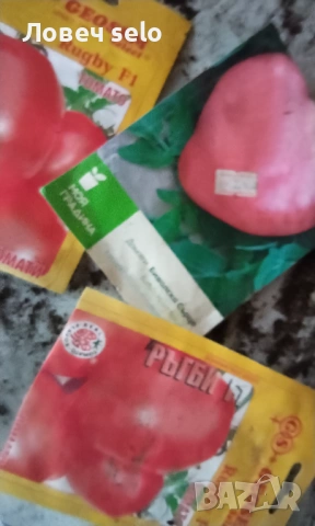 Продавам разсад домати и краставици