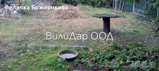 Хамалски услуги, снимка 3 - Хамалски услуги - 52342835