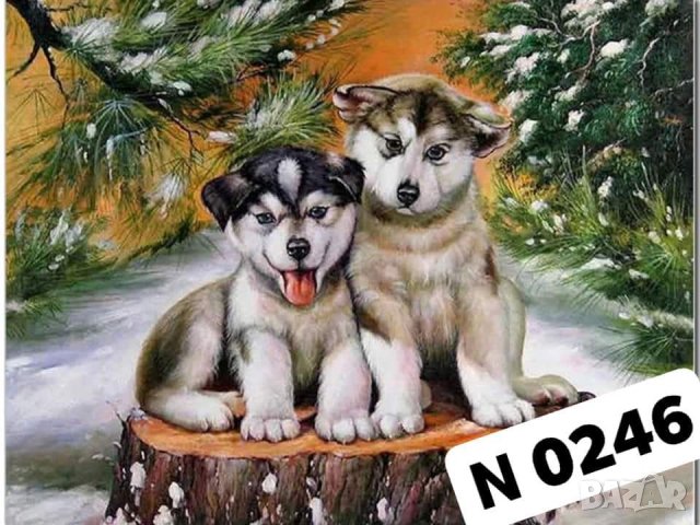 Диамантен Гоблен - Наличен комплект за изработка 