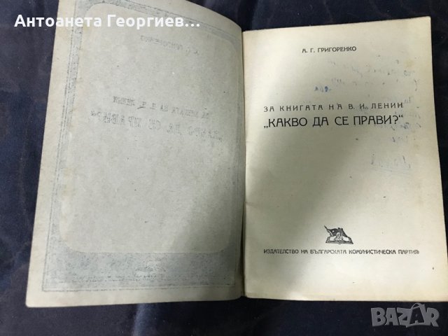 Какво да се прави - за книгата на Ленин, снимка 2 - Художествена литература - 30381368