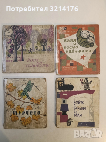 Който в ранина се буди - Владимир Русалиев (1963)