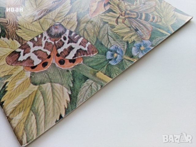 Ентомология в картинки - В.Танасийчук - 1987г. , снимка 10 - Детски книжки - 38938271