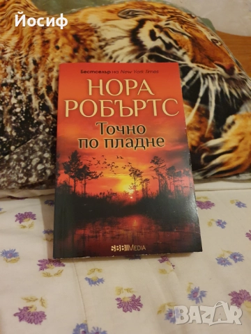 Книги, снимка 18 - Художествена литература - 18185450