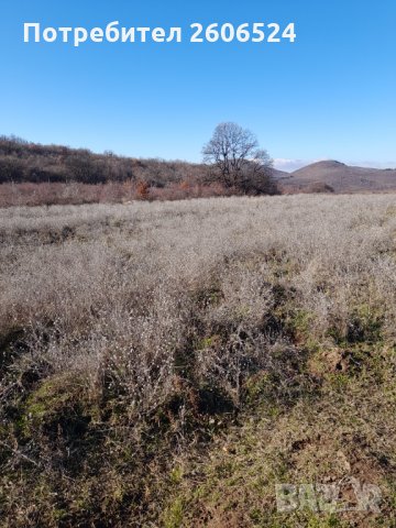 Купувам и наемам земеделска земя в гр.Стелча, снимка 3 - Земеделска земя - 35348171