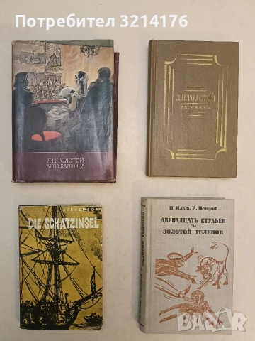 Die Schatzinsel - R. L. Stevenson (Hardcover)