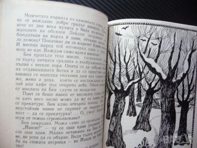 Сребърните кънки Мери Мейпс Додж Хубава книга добра цена евтина книга, снимка 3 - Художествена литература - 50962163